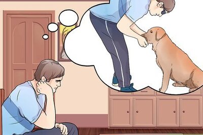 How to Get a Therapy Dog