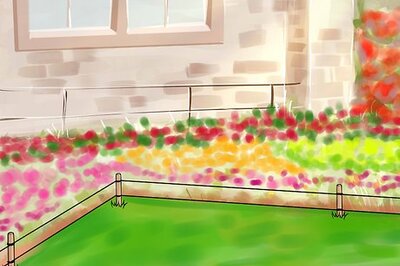 How to Stop Cats from Digging in Flower Beds