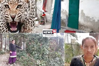 Woman Spots Leopard Near CM House in Shimla