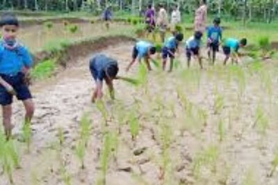 Siddapur Class 4 And 5 Students Do Paddy Planting As Part Of New Agricultural Education
