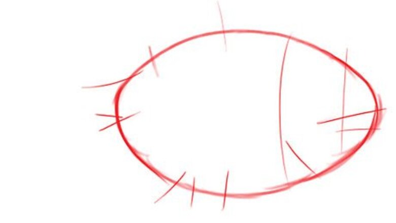 How to Draw a Piranha