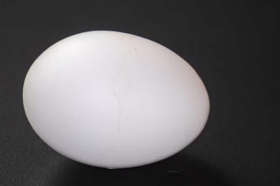 In UK's Buckinghamshire, 1,700-year-old Chicken Eggs With Liquid Contents Found