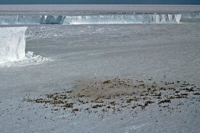 Scientists track penguin poop from space