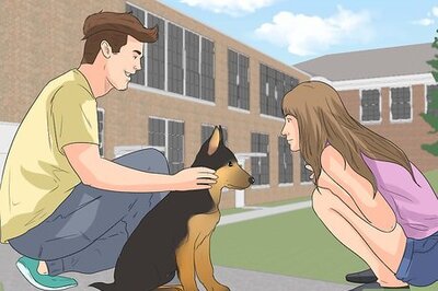 How to Train a German Shepherd to Be a Guard Dog