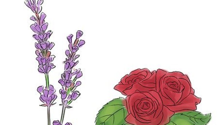 How to Make a Rose and Lavender Perfume