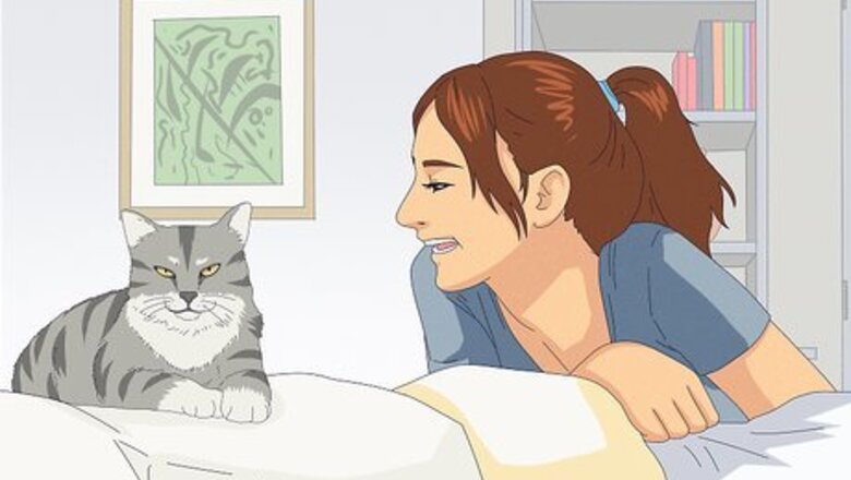 How to Be Kind to Animals