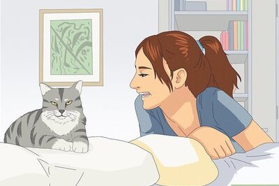 How to Be Kind to Animals