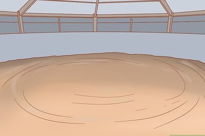 How to Join Up With a Horse