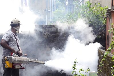 15 Dengue Cases in First Two Weeks of January in Delhi: Civic Body