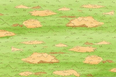 How to Repair Spots from Pet Urine in Lawn Grass