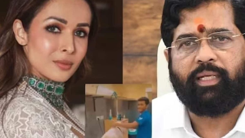 Mumbai Pet Clinic In Eye Of Storm As Celebs Call For Tough Action After Dog Abuse Incident