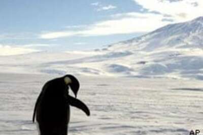 Tides speed up Antarctica ice slide