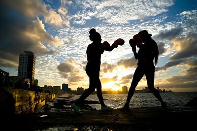 Boxers, MMA Fighters Show Distinct Brain Injury Patterns