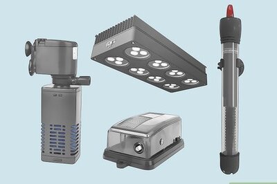 How to Set Up a Plant‐Only Aquarium