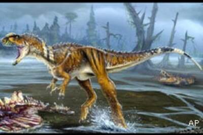 Dinosaur nest gets good bid in auction