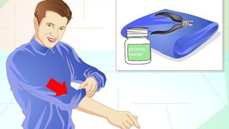 How to Trim Your Rabbit's Nails