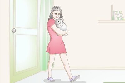 How to Keep Your Rabbits Cool on a Sunny Hot Day