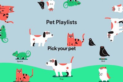 Spotify Users Can Now Curate a Playlist Especially for Their Pets