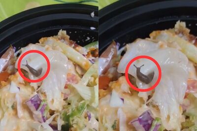 Bengaluru Man Finds 'Live' Snail in Salad Ordered on Swiggy, Company Responds to Viral Post