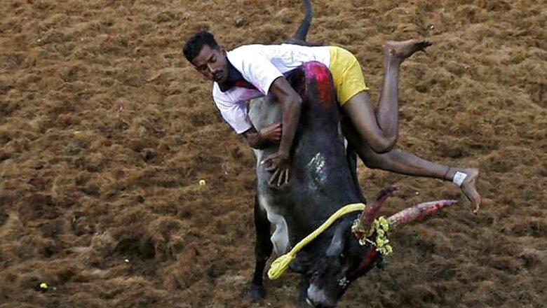 Tamil Nadu Ministers Hold Talks With Pro-Jallikattu Protestors