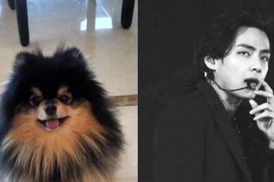 BTS: Kim Taehyung's Dog Yeontan Features on His Instagram, ARMYs Say Tannie Will Survive Delete King's Actions