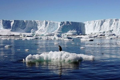 Ice Losses Surge to 252 Billion Tonnes As Antarctica's Melt Quickens : Study