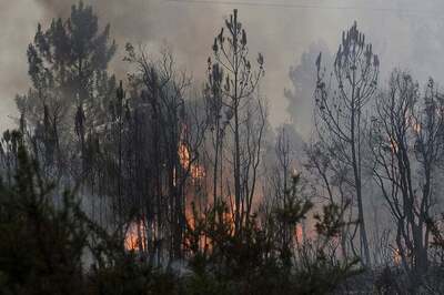 Indonesians Choked by Forest Fire Haze Hold Mass Prayer for Rain
