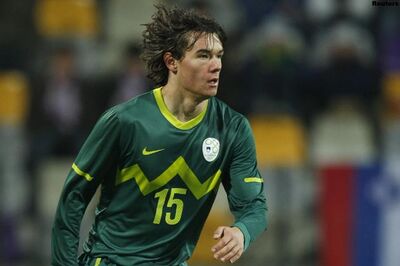 'Slovenia will be World Cup crowd pleasers'