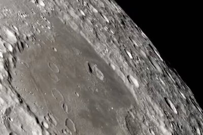 Why This Eight-legged Micro-animal Is Believed To Be The 1st Inhabitant Of Moon