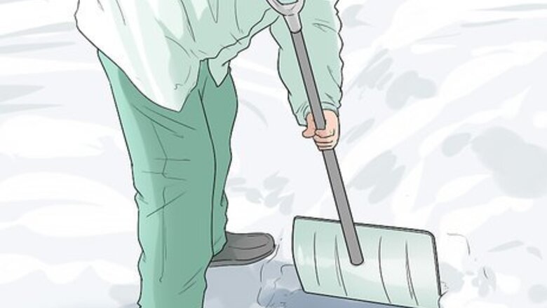 How to Help Your Dog Move in the Snow