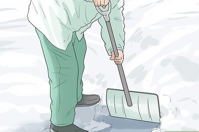 How to Help Your Dog Move in the Snow