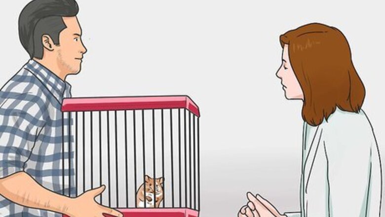 How to Travel With a Small Pet