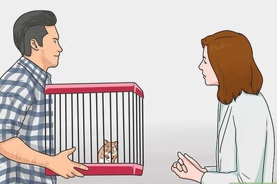 How to Travel With a Small Pet