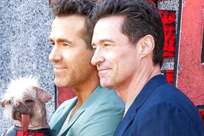 Ryan Reynolds' Furry Co-Star Peggy Steals The Spotlight At Deadpool & Wolverine London Event