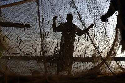 Sri Lanka releases 20 jailed Indian fishermen