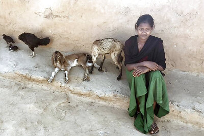 Teenager Takes Grandmother's Job to Feed Family in Rajasthan