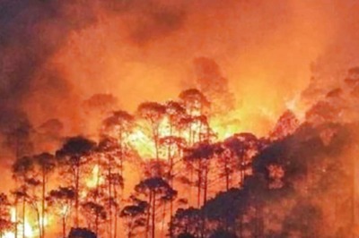 Woman Intentionally Starts 2 Wildfires In Greece To 'Flirt' With Firefighters