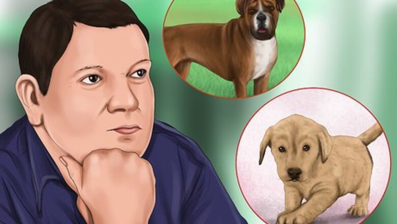 How to Determine Where to Get Your Dog