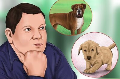 How to Determine Where to Get Your Dog