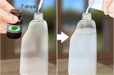 How to Make Spider Repellent at Home