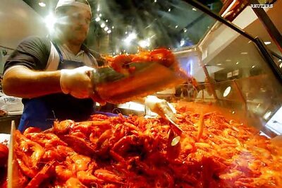 Australian scientists develop the perfect prawn