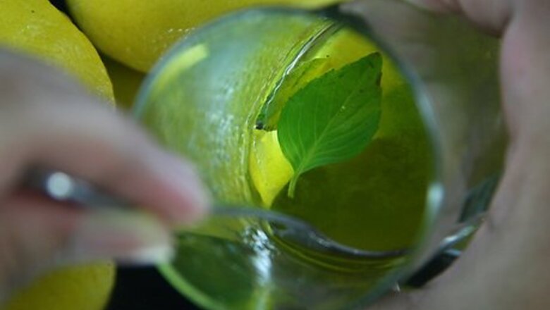 How to Make a Vodka Mojito