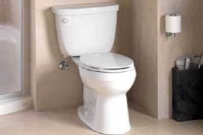 Now flush your toilet with fish!