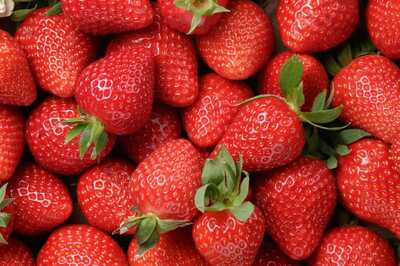 From Plant to Plate: The Journey of a Strawberry From Farm-to-Table