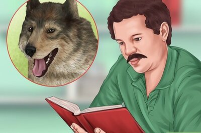 How to Keep an Older Dog Warm in Cold Weather