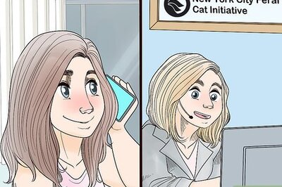 How to Use Cats for Pest Control