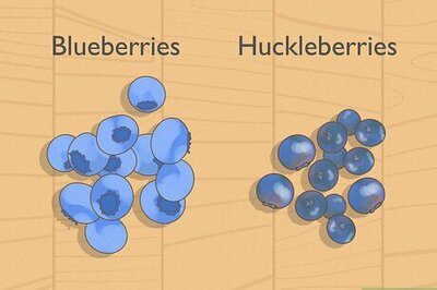 What’s the Difference Between Huckleberries & Blueberries?