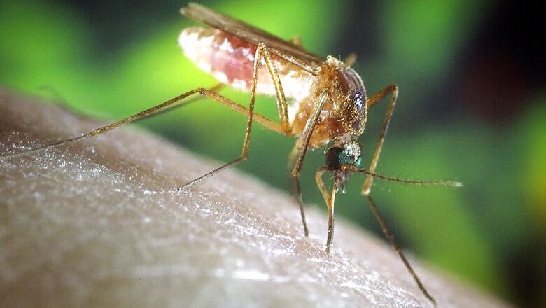 Bhopal Health Department Launches Campaign to Fight Against Mosquito-borne Diseases