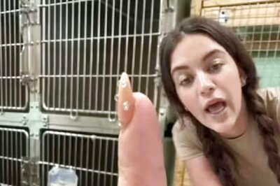 Florida Woman, Who Got Her Tattoo Redrawn On The Fingers, Regrets It