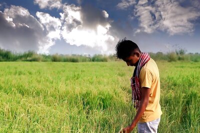 Onslaught of Extreme Weather Has Affected 2.8 Million Hectares of Crop Land in 2024 So Far, Central India Worst-Hit